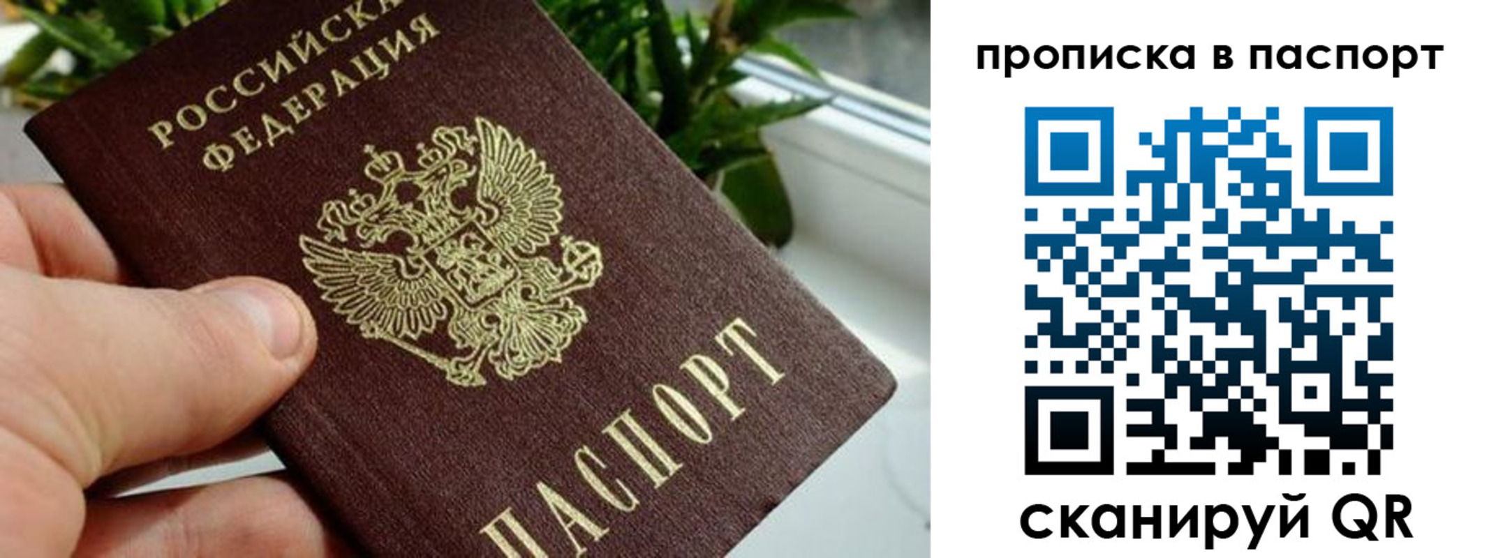 пропишу в квартире в Богучаре